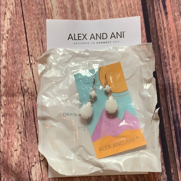 Alex and Ani drop earrings - Picture 1 of 3